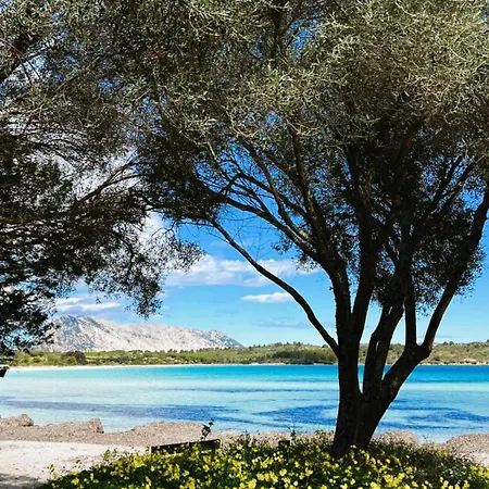 Vacanze A Ortensia Vakantiehuis