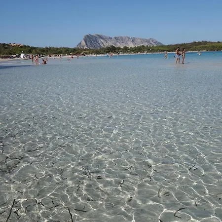 Vacanze A Ortensia San Teodoro (Sardinia)