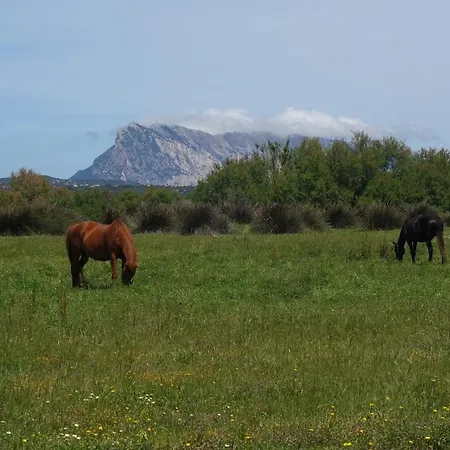 Vacanze A Ortensia Holiday home