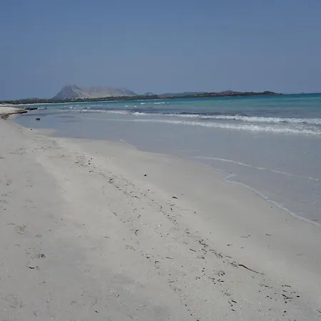 Vacanze A Ortensia *