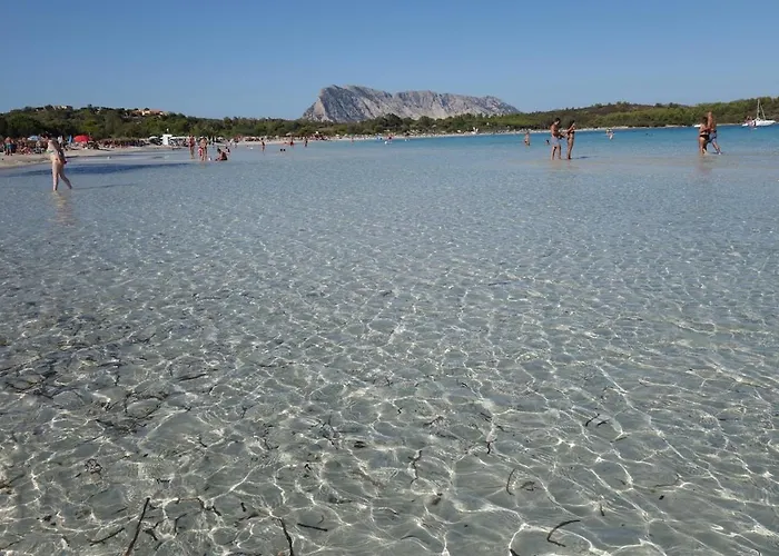 Vacanze A Ortensia سان تيودورو
