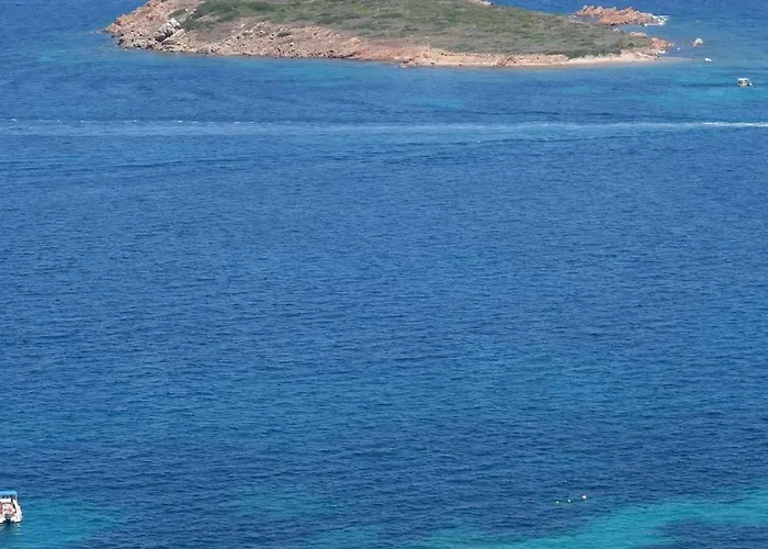 Vacanze A Ortensia