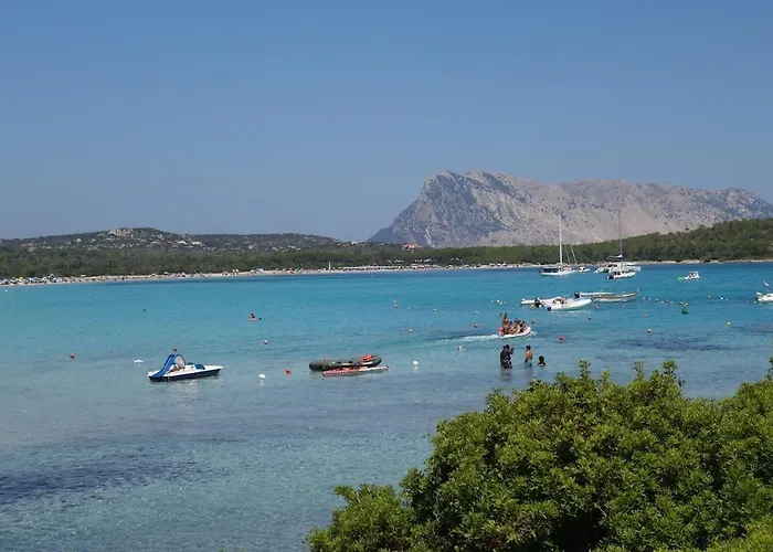 بيت للعطل Vacanze A Ortensia سان تيودورو