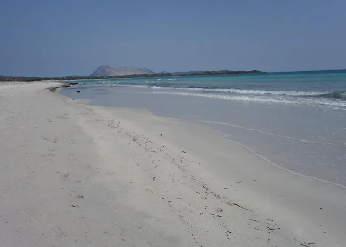 Vacanze A Ortensia *