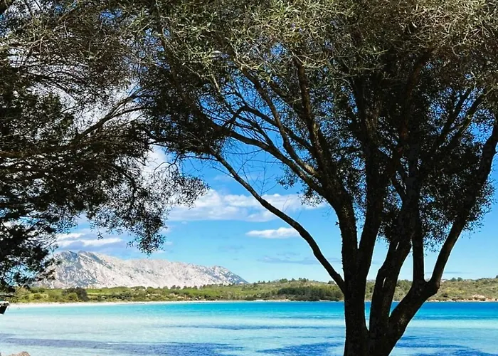 Vacanze A Ortensia بيت للعطل